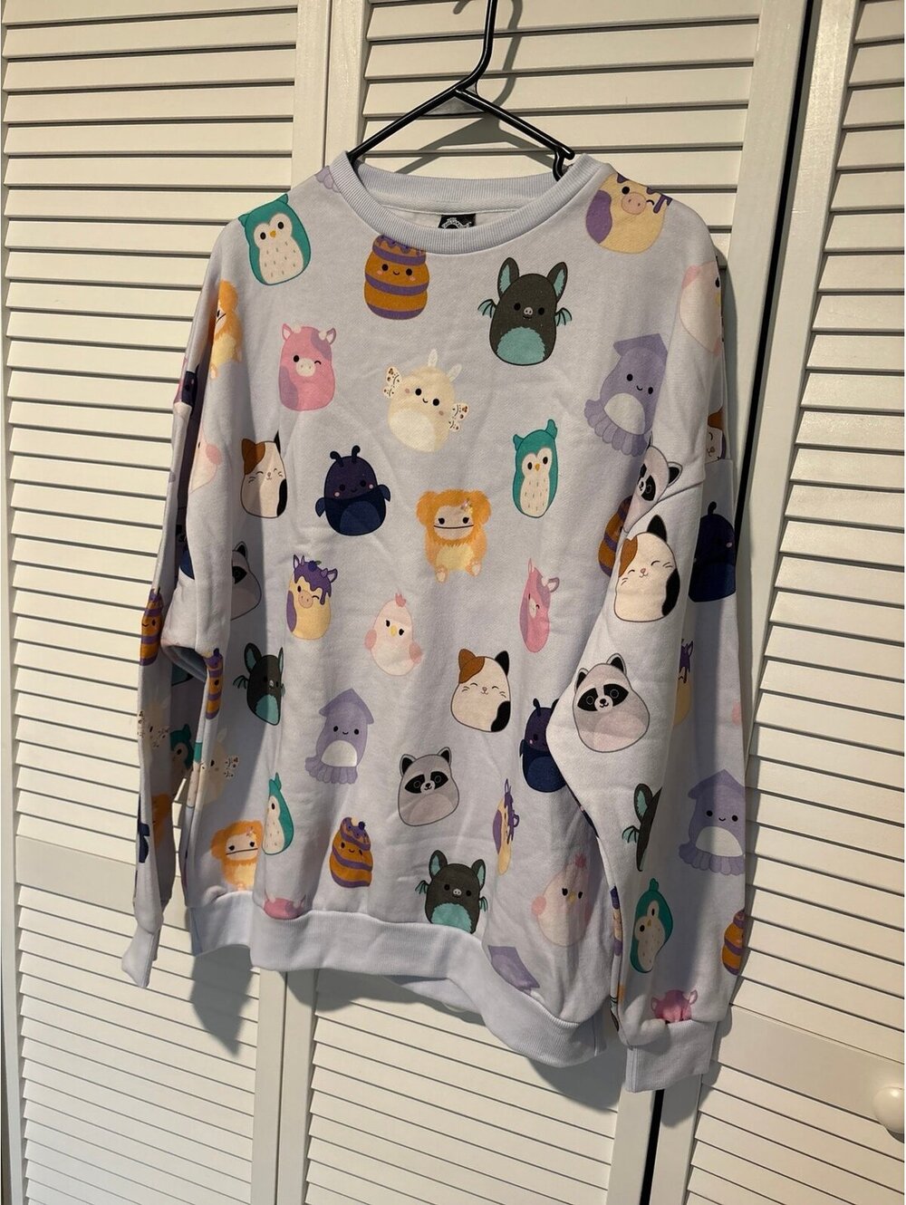 Cakeworthy Squishmallows graphic sweatshirt Lg